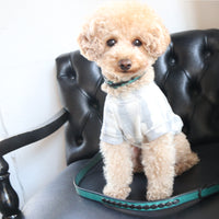LUXURY DOG COLLAR MEDIUM / HEXAGON STUDS