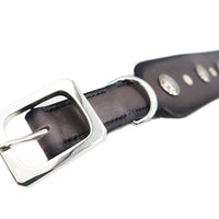 SPECIAL ORDER / LUXURY GREYHOUND DOG COLLAR X-LARGE / パティーヌ×ブラック