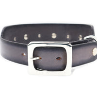 SPECIAL ORDER / LUXURY GREYHOUND DOG COLLAR X-LARGE / パティーヌ×ブラック