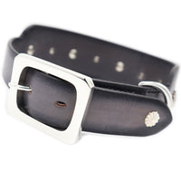 SPECIAL ORDER / LUXURY GREYHOUND DOG COLLAR X-LARGE / パティーヌ×ブラック