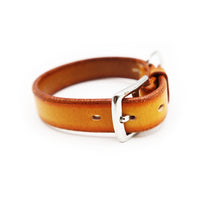 STANDARD DOG COLLAR / PATINA サドル