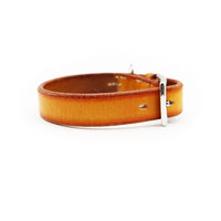 STANDARD DOG COLLAR / PATINA サドル