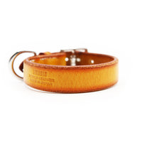 STANDARD DOG COLLAR / PATINA サドル