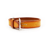 STANDARD DOG COLLAR / PATINA サドル