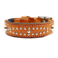LUXURY DOG COLLAR MEDIUM / STUDS×PATINA / サドル
