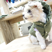 Reversible DOG jacket | Vintage Cotton