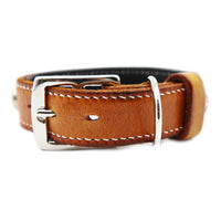 LUXURY DOG COLLAR MEDIUM / STUDS×PATINA / サドル