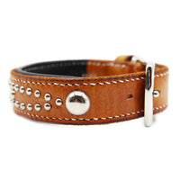 LUXURY DOG COLLAR MEDIUM / STUDS×PATINA / サドル