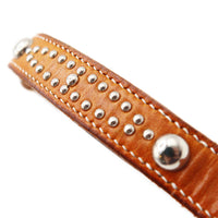 LUXURY DOG COLLAR MEDIUM / STUDS×PATINA / サドル