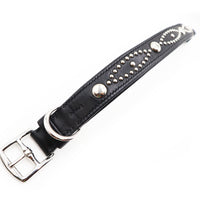 LUXURY DOG COLLAR XL / STUDS / ブラック