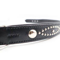 LUXURY DOG COLLAR XL / STUDS / ブラック