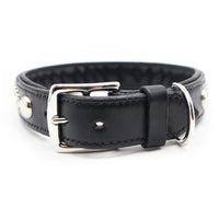 LUXURY DOG COLLAR XL / STUDS / ブラック