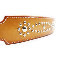 LUXURY GRAYHOUND DOG COLLAR XL / STUDS×PATINA / サドル