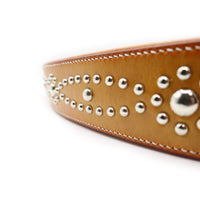 LUXURY GRAYHOUND DOG COLLAR XL / STUDS×PATINA / サドル
