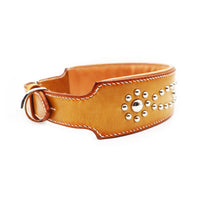 LUXURY GRAYHOUND DOG COLLAR XL / STUDS×PATINA / サドル