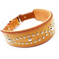 LUXURY GRAYHOUND DOG COLLAR XL / STUDS×PATINA / サドル