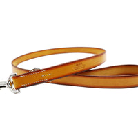 SPECIAL ORDER / LUXURY LEASH / サドル