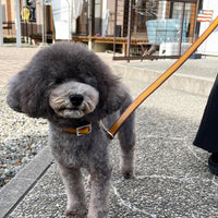 SPECIAL ORDER / LUXURY LEASH / サドル