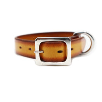 SPECIAL ORDER / LUXURY STANDARD COLLAR SMALL / サドル