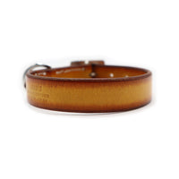 SPECIAL ORDER / LUXURY STANDARD COLLAR SMALL / サドル