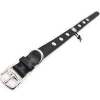 SPECIAL ORDER / LUXURY DOG COLLAR LARGE / ブラック