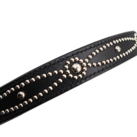 LUXURY DOG COLLAR LARGE / STUDS / ブラック
