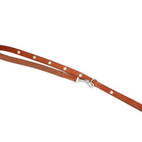 LUXURY DOG LEASH / KOKOPELLI CONCHO / アイリッシュ