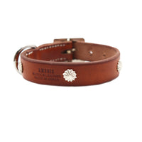 LUXURY DOG COLLAR SMALL / KOKOPELLI CONCHO / アイリッシュ