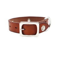 LUXURY DOG COLLAR SMALL / KOKOPELLI CONCHO / アイリッシュ