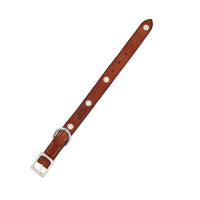 LUXURY DOG COLLAR SMALL / KOKOPELLI CONCHO / アイリッシュ