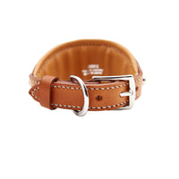 LUXURY GREYHOUND DOG COLLAR SMALL / CERBERUS STUDS / ナチュラル