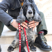 SPECIAL ORDER / LUXURY DOG LEASH / レッド