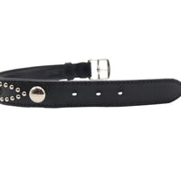 LUXURY DOG COLLAR LARGE / STUDS / ブラック