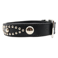 LUXURY DOG COLLAR LARGE / STUDS / ブラック