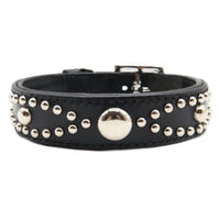 LUXURY DOG COLLAR LARGE / STUDS / ブラック