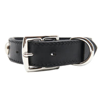 LUXURY DOG COLLAR LARGE / STUDS / ブラック