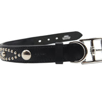 LUXURY DOG COLLAR LARGE / STUDS / ブラック
