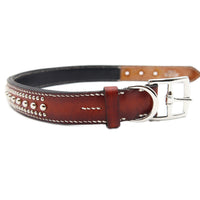 LUXURY DOG COLLAR LARGE / STUDS×PATINA / ブラウン