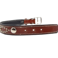 LUXURY DOG COLLAR LARGE / STUDS×PATINA / ダークブラウン