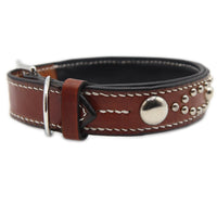 LUXURY DOG COLLAR LARGE / STUDS×PATINA / ダークブラウン
