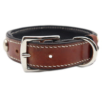 LUXURY DOG COLLAR LARGE / STUDS×PATINA / ダークブラウン