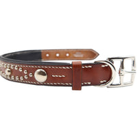 LUXURY DOG COLLAR LARGE / STUDS×PATINA / ダークブラウン