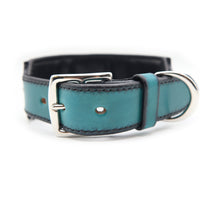 SPECIAL ORDER / LUXURY GRAYHOUD DOG COLLAR X-LARGE / ターコイズ