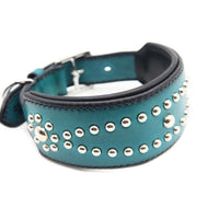 SPECIAL ORDER / LUXURY GRAYHOUD DOG COLLAR X-LARGE / ターコイズ