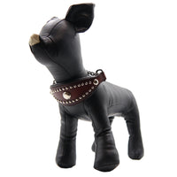 LUXURY GREYHOUND CHOKE COLLAR SMALL / STUDS×PATINA / ダークブラウン