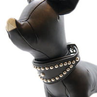 LUXURY GREYHOUND DOG COLLAR SMALL / STUDS / ブラック