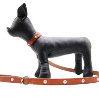 LUXURY DOG LEASH / KOKOPELLI CONCHO / アイリッシュ