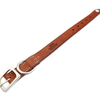 LUXURY DOG COLLAR KOKOPELLI SMALL / アイリッシュ