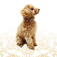 LUXURY DOG COLLAR KOKOPELLI SMALL / アイリッシュ