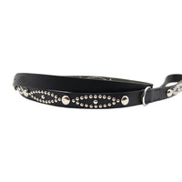 LUXURY DOG LEASH / STUDS / ブラック